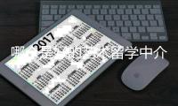 哪个是好的艺术留学中介呢？