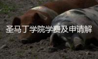 圣马丁学院学费及申请解析