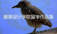 服装设计学院留学作品集有哪些要求？