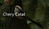 Chery Catat Penjualan 1 Juta Secara Global dalam 5 Bulan, Indonesia Menyumbang 1.000 Unit