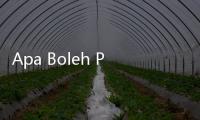 Apa Boleh Penumpang Bawa Makanan Sendiri Saat Naik Pesawat?