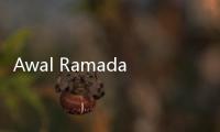 Awal Ramadan Berpotensi Berbeda, Menag Beri Tenggapan