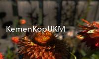 KemenKopUKM Akan Dorong Promosi UMKM dengan Smesco Indonesia