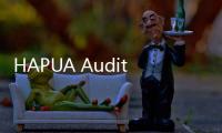 HAPUA Audit Summit 2024: PLN Perkuat Audit Internal untuk Akselerasi Transisi Energi