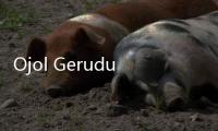 Ojol Geruduk Kemnaker Tuntut THR: Kami Pekerja, Kami Punya Hak!