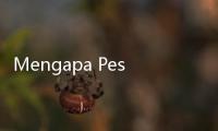 Mengapa Pesawat Tak Boleh Terbang di Atas Ka'bah?