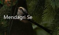 Mendagri Setuju Jika Bansos Dihentikan Selama Pilkada