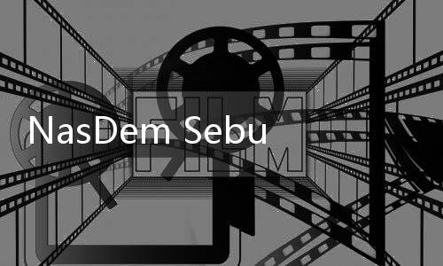 NasDem Sebut Pertemuan Surya Paloh dengan Jokowi Buktikan Kultur Tidak Baperan dan Kekanak