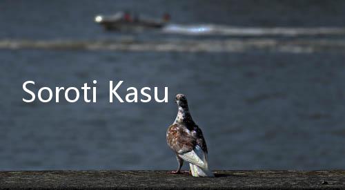 Soroti Kasus Korupsi di Kabinet Jokowi, NCW: Kementerian dan Lembaganya Sangat Lemah