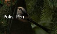 Polisi Periksa Saksi dan Rekaman CCTV Rumah Sakit Soal Kasus Bayi Diduga Tertukar
