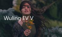 Wuling EV Van Siap Meluncur di Q3 2025, Mengulik Potensi Kendaraan EV Niaga di Pasar Indonesia