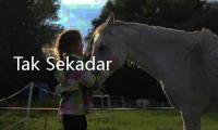 Tak Sekadar Hemat, Kisah Keluarga Temukan Makna Belanja di MR.D.I.Y.